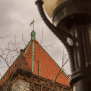Lamplight View