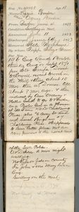 Tewksbury Almshouse Intake Record: Benson, Lizzie