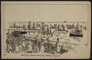 View of the Naval Fleet from Fortress Monroe