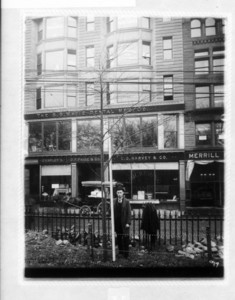 Tree #16 on Boylston St. mall of Common, Boston, Mass., November 17, 1894