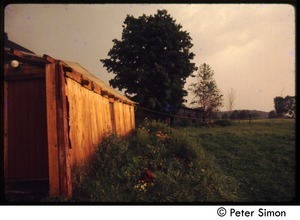 View of a newly built structure in the sunlight, Tree Frog Farm commune