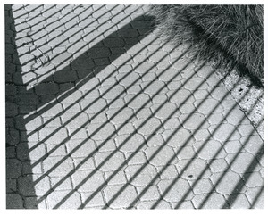Fence shadows on brick walk