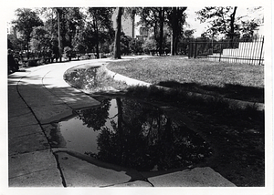 Puddle near Soldiers and Sailors Monument, Boston Common