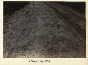 Pittsfield to North Adams, station no. 124, Cheshire