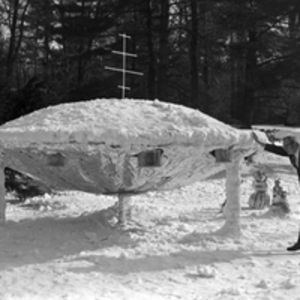 Blizzard of '78 Snow Sculpture