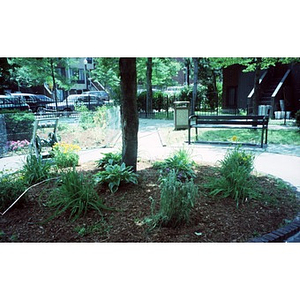 A view of some of the plantings in the park near Villa Victoria.