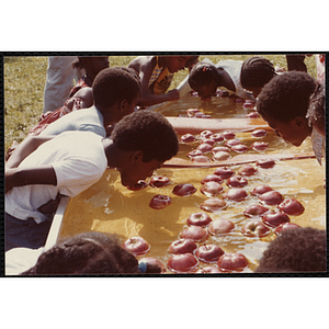 Children bob for apples during the Tri-Club Field Day at the Roxbury Clubhouse