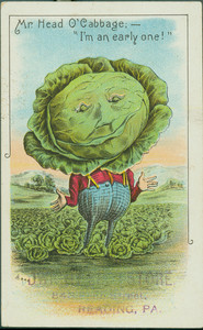 Trade card for Mr. Head O'Cabbage, J.H.Stein's Store, 843 Penn Street, Reading, Pennsylvania, undated