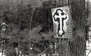 Hand-painted cross on plywood plank, mounted to a white pine in the woods