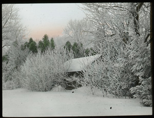 Massachusetts State College campus, winter scene