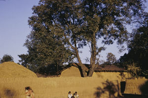 Ranchi village scene