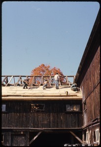 Roofing work on the barn at Montague Farm Commune