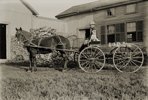 Man and dog in a dairy wagon (Greenwich, Mass.)