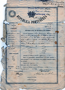 Rosa Ferreira Passport