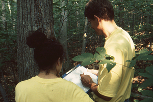 Henry W. Art and Maya Kumar, Williams Class of 1996, recording tree census in Permanent Plot 1121.