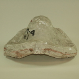 Dickinson-Belskie mold of male pelvis, 1939-1950