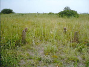 Burying ground, Rainsford Island