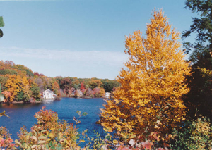 Another dazzlingly sunny day in fall on Dudley Pond