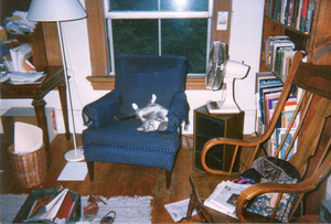 Maurice and chair