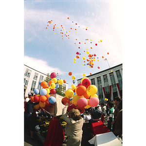 Balloons are let go at the 75th anniversary celebration of cooperative education at Northeastern