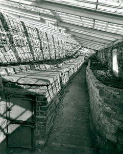 Interior view of 1800 Lyman Estate greenhouse