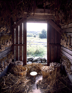 View out through open door of drying shed, Casey Farm, Saunderstown, R.I.