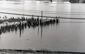 Wood pilings in the water