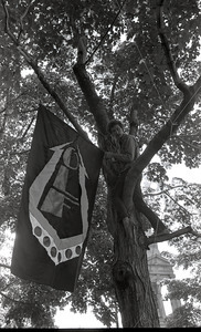 Gay liberation demonstration at Cambridge Common: man hanging Gay Liberation Front flag