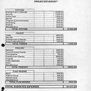 Budget for Puerto Rican Festival of Massachusetts, Inc., 1993