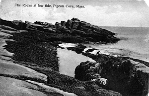 The rocks at low tide, Pigeon Cove, Mass.