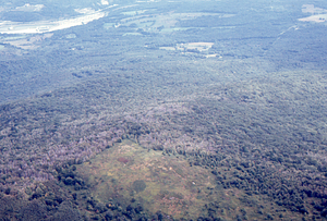 Aerial oblique view from Jim Smith Hill down North Branch of Birch Brook on 2 Sept 1971.
