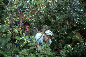 Permanent Plotters in Morrow's honeysuckle in Permanent Plot 0731. Left to right: Tim Billo (Class of 1997), Ben Montgomery (Class of 1998), Dawn Biehler, Charles Wall, and Susan Halbach (all Class of 1997).
