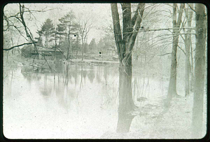 Saugus, Lilly Pond