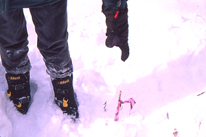 ENVI 102 - Introduction to Environmental Science - Ford Glen Brook Field Site. 8. Jay Thoman kneeling behind a snow drift.