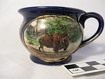 Norumbega Souvenir Cup