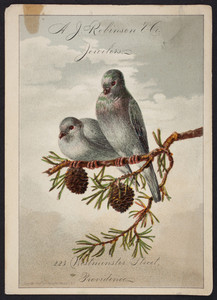 Trade card for A.J. Robinson & Co., jewelers, 223 Westminster Street, Providence, Rhode Island, 1878