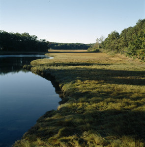 Tidal estuary, Sayward-Wheeler House, York Harbor, Maine