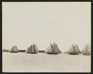 Schooner Race At New Bedford