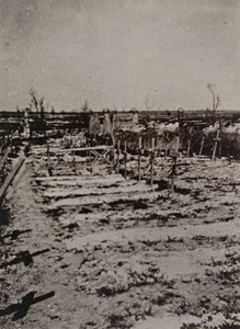 Graves marked by crosses in a barren field