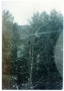 Organic Farmers Associations Council meeting: view of snow through a window