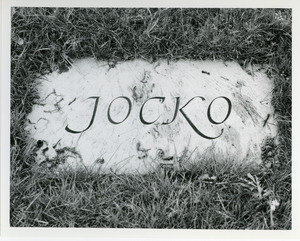 Jocko
