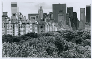 Central Park and city from Met roof