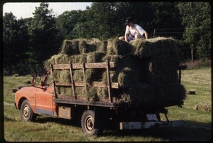 Truck loaded with hay bales, Wendell Farm