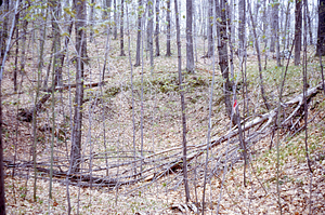 Hopkins' sand borrow pit.
