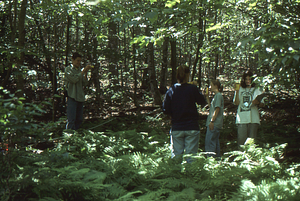 Hayscented Fern Study. 12. Left to right: Philip Bartels, Paola Peacock, Jessica Tierney, and Andrew Werbrock (Class of 2000) in Permanent plot near Taconic Range ridge.