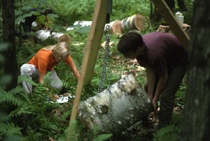 Meg Lowman (Class of 1976) and Thomas Kalt (Amherst College) recording weight of paper birch log in Paper Birch Biomass and Productivity study.