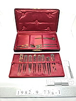 Set of Hairpins and Hair Combs
