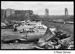 Junked cars by the river with modern apartment buildings in the background