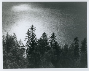 Spruces silhouetted on lake