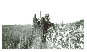 Rust Cotton Picker - front view